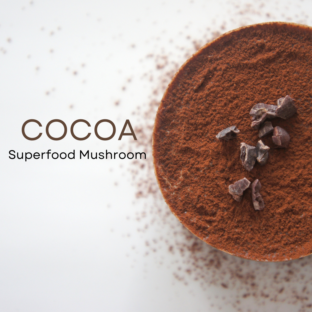 Cocoa Superfood Mushroom